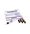 DENTOTEMP AUTOMIX