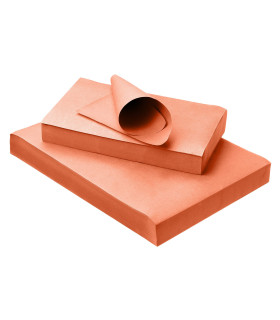 PROTECTIONS PLATEAUX (x250)