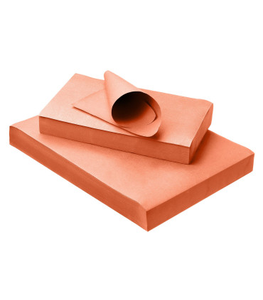 PROTECTIONS PLATEAUX (x250)