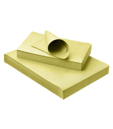 PROTECTIONS PLATEAUX (x250)
