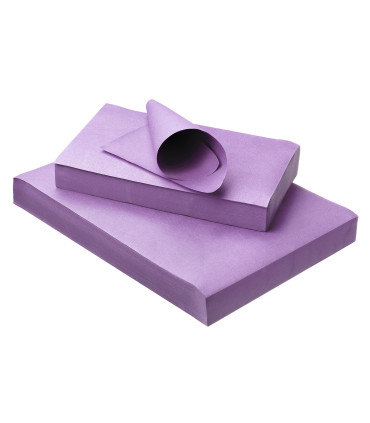 PROTECTIONS PLATEAUX (x250)